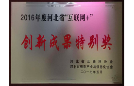 创新成果特别奖