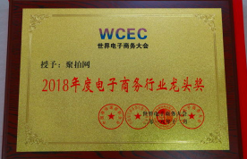 2018年度电子商务行业龙头奖